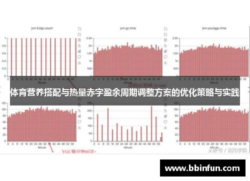体育营养搭配与热量赤字盈余周期调整方案的优化策略与实践