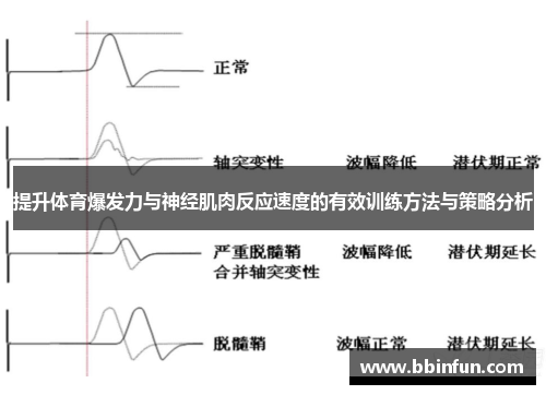 提升体育爆发力与神经肌肉反应速度的有效训练方法与策略分析